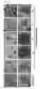 Fig. 05 - Pharmaceutical composition for suppressing cell transplant rejection