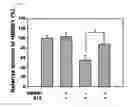 Fig. 11 - Pharmaceutical composition for suppressing cell transplant rejection