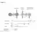 Fig. 06 - Methods for preventing or treating disorders by increasing bioavailability of iron and related pharmaceutical formulation