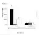 Fig. 10 - METHODS FOR PREVENTING TRANSPLANTATION-INDUCED FOLLICLE ACTIVATION