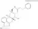 Fig. 25 - VACCINE PHARMACEUTICAL COMPOSITION FOR SUPPRESSING APOPTOSIS OF CTL OR INHIBITING SUPPRESSION OF INDUCTION OF CTL