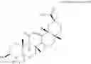Fig. 48 - VACCINE PHARMACEUTICAL COMPOSITION FOR SUPPRESSING APOPTOSIS OF CTL OR INHIBITING SUPPRESSION OF INDUCTION OF CTL