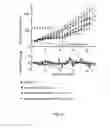 Fig. 09 - Small molecule drug conjugates