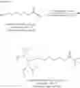 Fig. 75 - Functionalized phosphorodiamites for therapeutic oligonucleotide synthesis