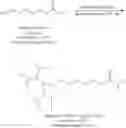 Fig. 77 - Functionalized phosphorodiamites for therapeutic oligonucleotide synthesis