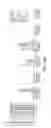 Fig. 17 - Oligonucleotide-based probes for detection of bacterial nucleases