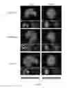 Fig. 08 - Targeting peptides and methods of use