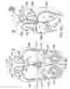 Fig. 08 - MEDICAMENT DISPENSER