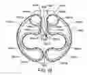 Fig. 22 - MEDICAMENT DISPENSER
