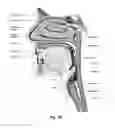 Fig. 06 - Patient interface for respiratory therapy