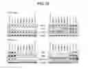 Fig. 16 - Implants for localized drug delivery and methods of use thereof