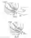 Fig. 02 - Method and apparatus for inserting a rectal suppository