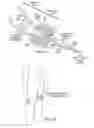 Fig. 06 - Method and apparatus for inserting a rectal suppository