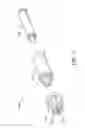Fig. 06 - Devices and methods for treating the skin using a porous member