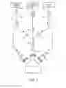 Fig. 05 - MEDICAL DEVICE ADAPTER WITH LUER LOCK OUTPUT FITTING