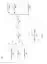 Fig. 02 - Device, system and apparatus for functional electrical stimulation of muscle