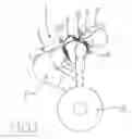 Fig. 02 - Spinal harness apparatus and method for conducting activities requiring a neutral spinal position and spinal rigidity
