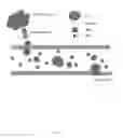 Fig. 02 - Platelet-targeted microfluidic isolation of cells