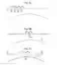 Fig. 08 - Image recording apparatus and image recording method