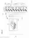 Fig. 09 - Vehicle interior lighting apparatus