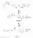 Fig. 03 - Method for the synthesis of mirabegron and its derivatives