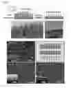Fig. 02 - COMPOSITIONS AND METHODS RELATED TO PROTEINS CAPABLE OF REVERSIBLE TRANSITION TO A MELT