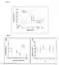 Fig. 08 - COMPOSITIONS AND METHODS RELATED TO PROTEINS CAPABLE OF REVERSIBLE TRANSITION TO A MELT