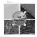 Fig. 09 - COMPOSITIONS AND METHODS RELATED TO PROTEINS CAPABLE OF REVERSIBLE TRANSITION TO A MELT