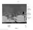 Fig. 05 - Coated metal sheet, method for producing same, and exterior building material