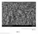 Fig. 06 - Coated metal sheet, method for producing same, and exterior building material