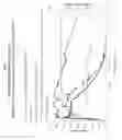 Fig. 02 - TREATMENT FLUID AND VISCOSITY CONTROL