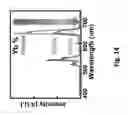 Fig. 06 - Rare earth spatial/spectral microparticle barcodes for labeling of objects and tissues