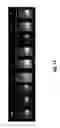 Fig. 07 - Rare earth spatial/spectral microparticle barcodes for labeling of objects and tissues