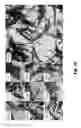 Fig. 08 - Rare earth spatial/spectral microparticle barcodes for labeling of objects and tissues