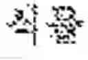 Fig. 03 - Composition for preserving cells, containing, as active ingredients, plant-derived recombinant human serum albumin and plant peptides