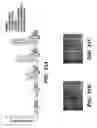 Fig. 40 - Compositions and methods for epithelial stem cell expansion and culture
