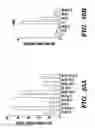 Fig. 44 - Compositions and methods for epithelial stem cell expansion and culture