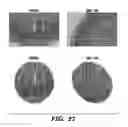 Fig. 46 - Compositions and methods for epithelial stem cell expansion and culture