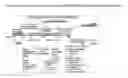 Fig. 04 - Neuromuscular Junction: NMJ-ON-CHIP