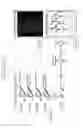 Fig. 06 - Neuromuscular Junction: NMJ-ON-CHIP