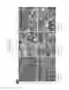 Fig. 12 - Neuromuscular Junction: NMJ-ON-CHIP