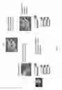 Fig. 02 - Cardiomyocyte production