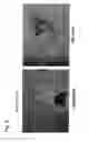 Fig. 09 - METHOD FOR PREPARING INDUCED PLURIPOTENT STEM CELL LINE FROM MESENCHYMAL STEM CELLS, AND CELL LINE OBTAINED THEREBY