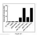 Fig. 08 - Solubility and Affinity Tag for Recombinant Protein Expression and Purification
