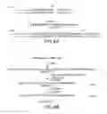 Fig. 08 - SORTASE MOLECULES AND USES THEREOF