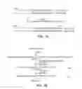 Fig. 09 - SORTASE MOLECULES AND USES THEREOF