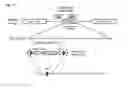 Fig. 13 - Therapeutic or prophylactic composition for TDP-43 proteinopathy