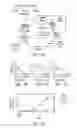 Fig. 02 - Nucleic acid aptamers
