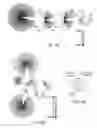 Fig. 05 - Nucleic acid aptamers