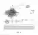 Fig. 09 - Nucleic acid aptamers